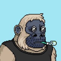 Lieutenant Dan (@cryptomoneyok) 's Twitter Profile Photo Lieutenant Dan (@cryptomoneyok) 's Twitter Profile Photo