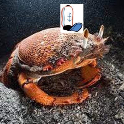 Redfrogcrabさんのプロフィール画像