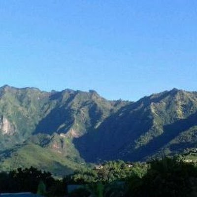 FPiripete's profile picture. 