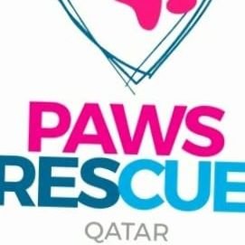 Paws Rescue Qatar is an animal welfare group seeking to provide shelter and support to abandoned dogs and cats