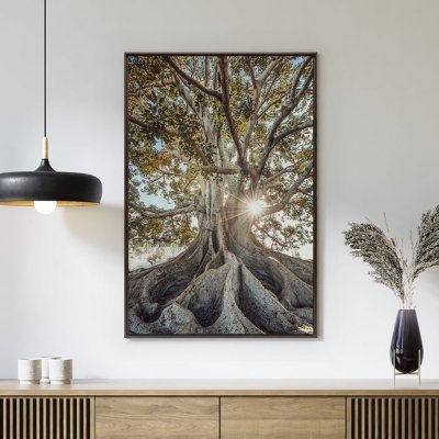 gabriel_heiwa's profile picture. 