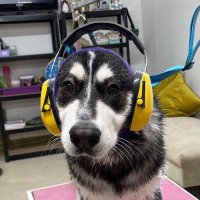 CallingMrJones (@callingmrjones) 's Twitter Profile Photo