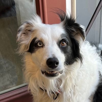 mgobiv's profile picture. 