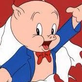 0xPorky_'s profile picture. gender fluid Porky | Building @NovaSwap