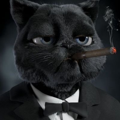 Alakan59811338's profile picture. hiç birşey anlamı yok