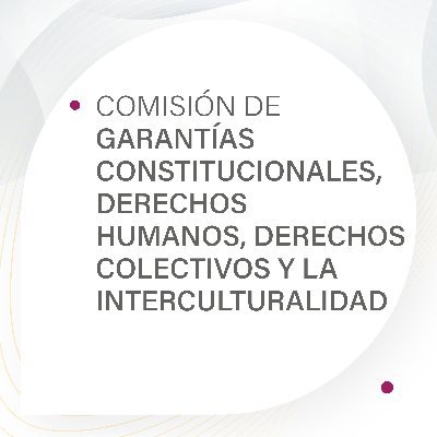 Comisión de Garantias Constitucionales, Derechos Humanos, Derechos Colectivos y la Interculturalidad de la @AsambleaEcuador