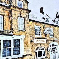 The Fox (@thefoxatchippy) 's Twitter Profile