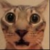 Ajejoi (@ajejo_o) Twitter profile photo Ajejoi (@ajejo_o) Twitter profile photo