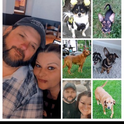 My world is my furbabies..music, outdoors n blowing off the all the negative which means i dont talk politics..blackfoot , Irish n German