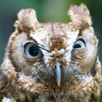 Mark Ungrin (@mark_ungrin) 's Twitter Profile Photo Mark Ungrin (@mark_ungrin) 's Twitter Profile Photo