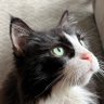 BWieds's profile picture. Family, friends, Rangers 🏒, Yanks ⚾️, Giants 🏈, @Rushtheband 🎸, #RushFamily & Spike(RIP)😺 🎳🎳☕️☮️ “I will choose freewill” (NO politics)