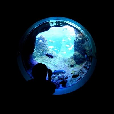 yanutann's profile image