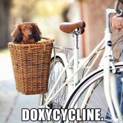 doxy_cycling Profile Picture