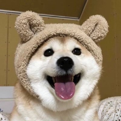 老高原味测评
