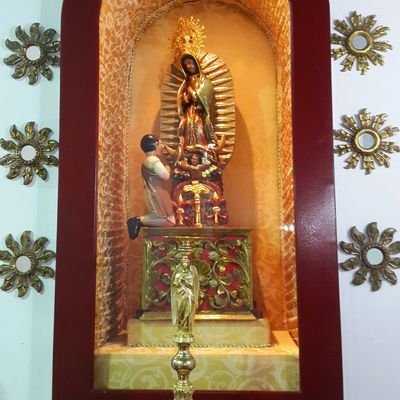 josebautistag45's profile picture. 