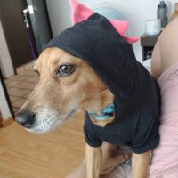 B A D B O B I (@bobiolvera) 's Twitter Profile