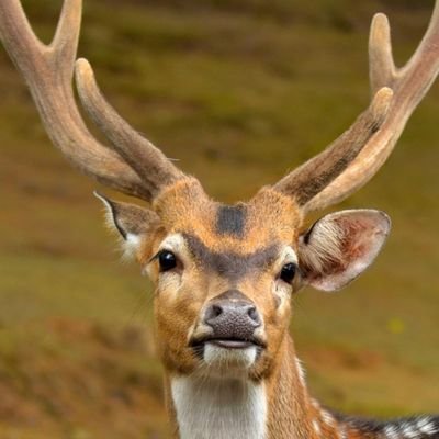 RajeshPalliker1's profile picture. Travancore fertilizer s&chemicals