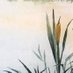 fens @ mnchn t4t save me. save me mnchn t4t (@fensandmarshes) Twitter profile photo fens @ mnchn t4t save me. save me mnchn t4t (@fensandmarshes) Twitter profile photo