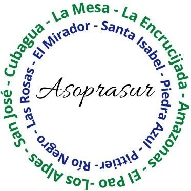 asoprasur Profile Picture
