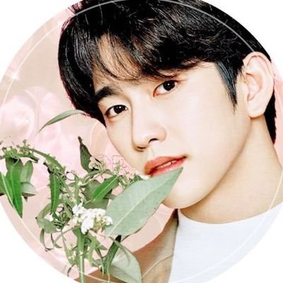 GOT7 Jinyoung China Fanbase || 微博 桃崩PA_朴珍荣