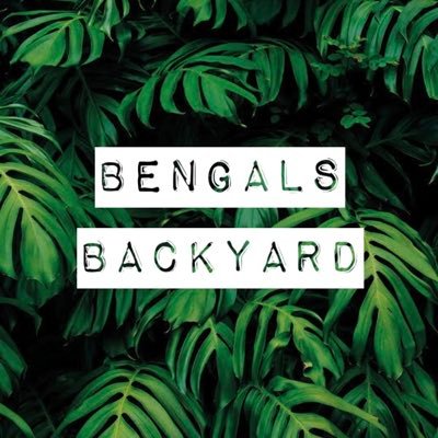 BengalsBackyard Profile Picture