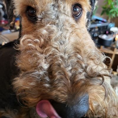 ajayco's profile picture. ♈☀️ ♎🌚♓⬆️ INFP, vet. Du er ikke alene *Do I contradict myself? Very well then I contradict myself, (I am large, I contain multitudes.)* ~Whitman