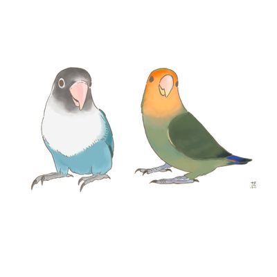 あらたさんのプロフィール画像