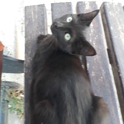 RABBİM BANA YETER.GERİSİ BUGÜN VAR YARIN YOK.BAKİ OLAN VARKEN,YOK OLMAYA MAHKUM OLANLARA KULLUK NİYE?