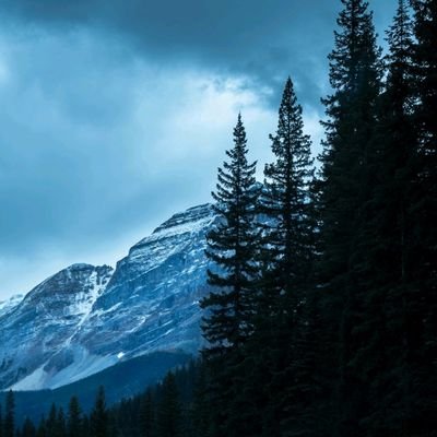 OliverQ1991's profile picture. 