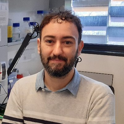 MinguiJordi's profile picture. 