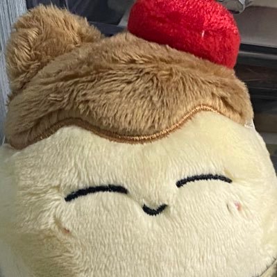 pudingjaen's profile picture. NCT 재현을 닮은 7cm 푸딩고양이 입니다(｡◠‿◠｡)