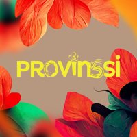 Provinssi(@ProvinssiFest) 's Twitter Profileg