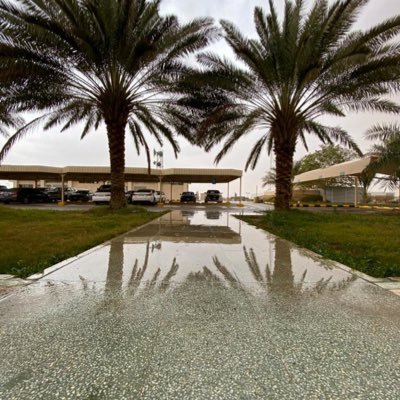 Mohamme92998076's profile picture. عقاري 🇸🇦 الرياض 503231001