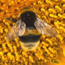 Robert Hofmann - @Rob_Hofmann - Twitter