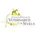 Colegio de Veterinarios de Sevilla (@colvetsevilla) Twitter profile photo Colegio de Veterinarios de Sevilla (@colvetsevilla) Twitter profile photo