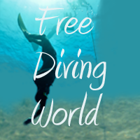 Mad about freediving, snorkelling, spearfishing and underwater photography