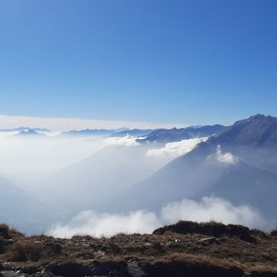 sbuchschwenter's profile picture. .