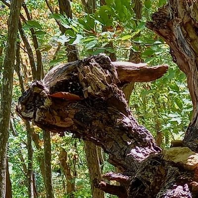 音楽制作の傍らラジオや執筆をしています。
と言えるようになりたい。
YouTube
https://t.co/Y5QDmpo9sG