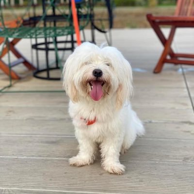 Ehla07's profile picture. 👩‍⚕️🌻