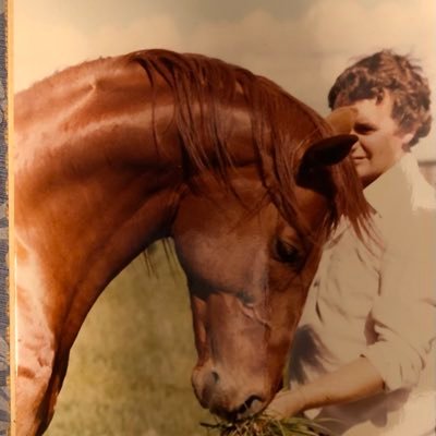 Retired horseman. Horse racing fiction writer of the Contention book series and specialised equine products manufacturer