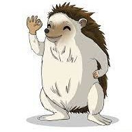 FplHedgehog Profile Picture