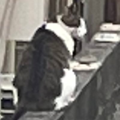 gVuhwh153Jxhb5O's profile picture. 