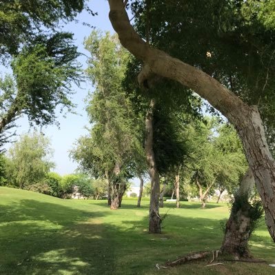 oooq3020's profile picture. الحمد لله