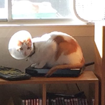 AJJessen2's profile picture. 