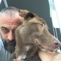 mete yaman (@meteymn) 's Twitter Profile