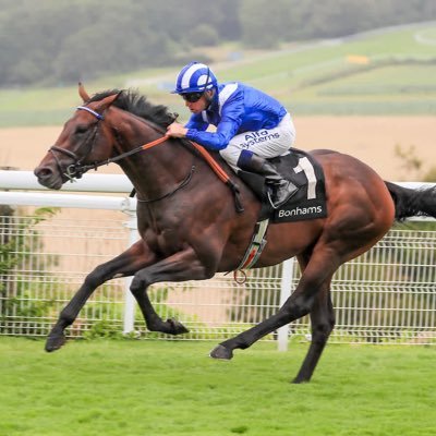Not a pro gambler, just sharing my tips, research and fancies for horse racing, good luck if you get on āļø, and make sure you gamble responsibly š
