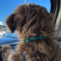 Jarrett Seidler (@jaseidler) 's Twitter Profile
