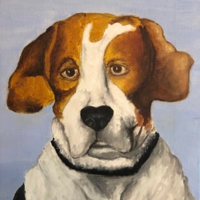 buenovaleh's profile picture. 🇪🇸🎼🏃🏻🐾✈️