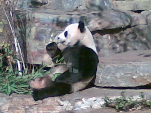 Sallen21Allen's profile picture. 