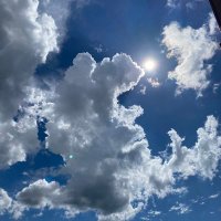 いっぴー (@123ippy) 's Twitter Profile